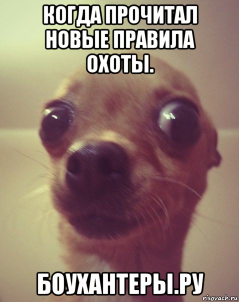 https://upforme.ru/uploads/001a/8c/05/95/858608.jpg