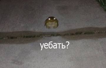 https://upforme.ru/uploads/001a/8c/12/6/t492415.jpg
