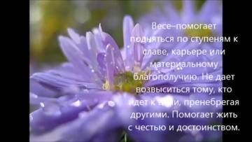 https://upforme.ru/uploads/001a/a2/c2/2/t616257.jpg