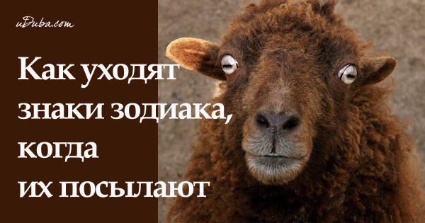 https://upforme.ru/uploads/001a/a2/c2/2/t967785.jpg