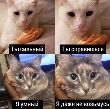 https://upforme.ru/uploads/001a/a6/27/5/t423052.jpg