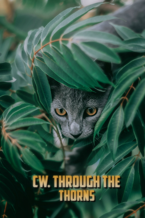 https://upforme.ru/uploads/001a/a9/04/2/168330.jpg