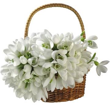 https://upforme.ru/uploads/001a/a9/d8/5/t71565.jpg