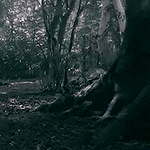 https://upforme.ru/uploads/001a/aa/9f/2/19195.gif
