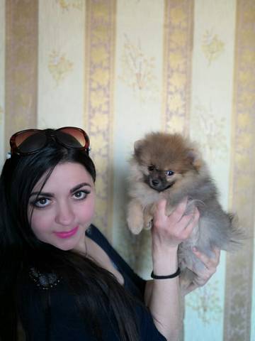 https://upforme.ru/uploads/001a/ad/be/11/t36276.jpg