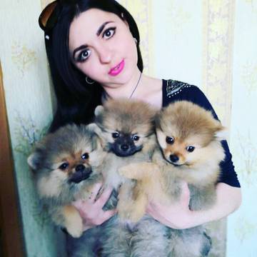 https://upforme.ru/uploads/001a/ad/be/11/t83490.jpg