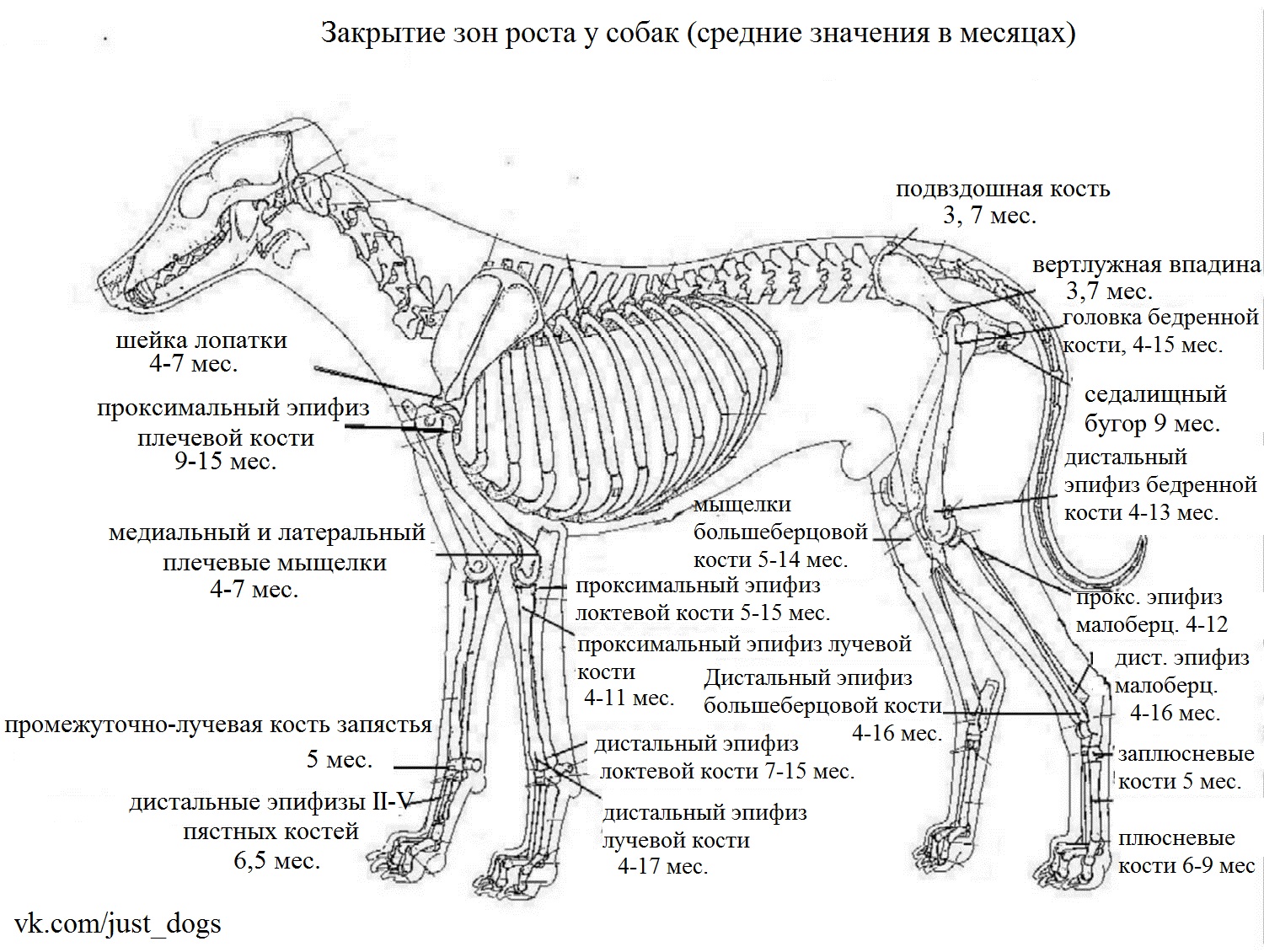https://upforme.ru/uploads/001a/ad/be/3/27178.jpg