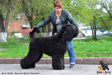 https://upforme.ru/uploads/001a/ad/be/3/t14342.jpg