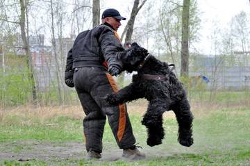 https://upforme.ru/uploads/001a/ad/be/3/t26476.jpg