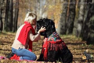 https://upforme.ru/uploads/001a/ad/be/3/t32574.jpg