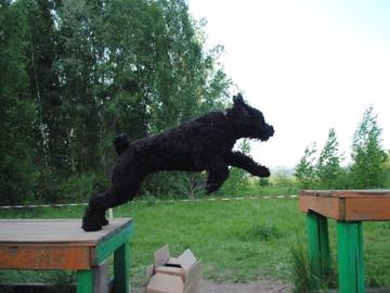 https://upforme.ru/uploads/001a/ad/be/3/t36674.jpg
