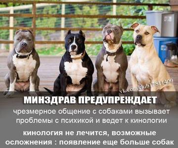 https://upforme.ru/uploads/001a/ad/be/3/t53459.jpg