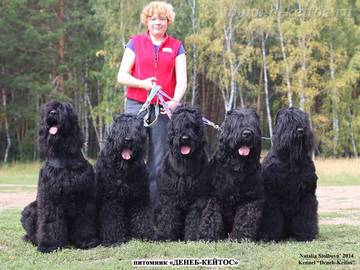 https://upforme.ru/uploads/001a/ad/be/3/t53990.jpg