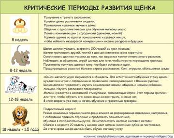 https://upforme.ru/uploads/001a/ad/be/3/t57377.jpg