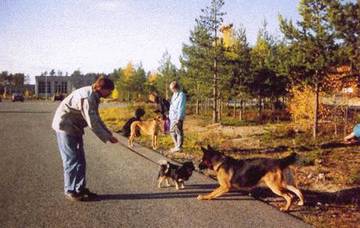 https://upforme.ru/uploads/001a/ad/be/3/t65837.jpg