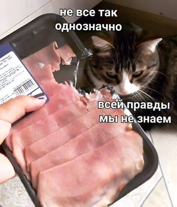 https://upforme.ru/uploads/001a/ad/ef/10/t797719.jpg