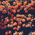 https://upforme.ru/uploads/001a/ae/99/14/830892.png