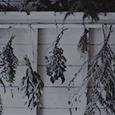 https://upforme.ru/uploads/001a/ae/99/14/869775.png