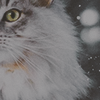 https://upforme.ru/uploads/001a/ae/99/14/898741.png