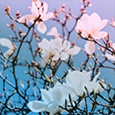https://upforme.ru/uploads/001a/ae/99/14/90007.png