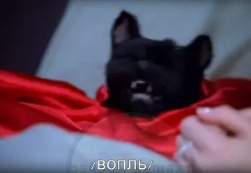 https://upforme.ru/uploads/001a/ae/99/14/t431317.webp