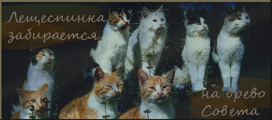 https://upforme.ru/uploads/001a/ae/99/27/195950.png