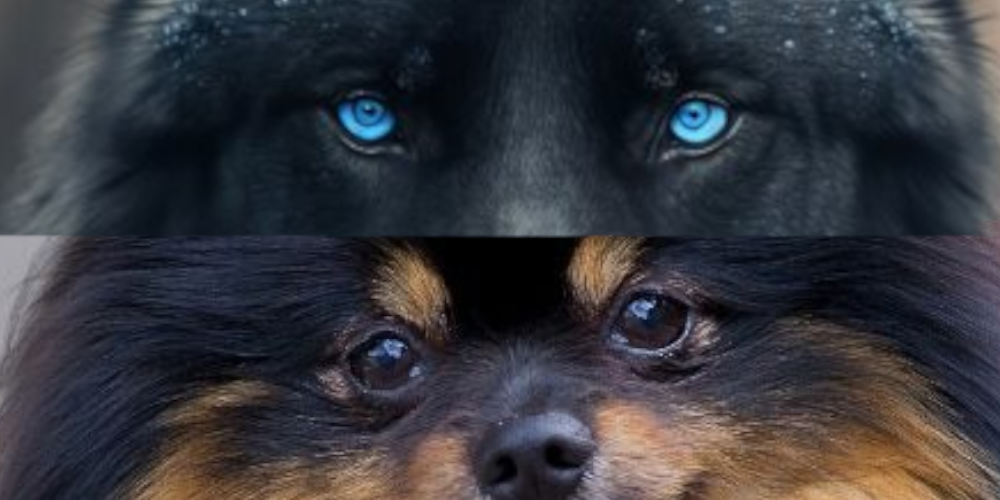 https://upforme.ru/uploads/001a/af/e5/129/921029.png