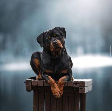 https://upforme.ru/uploads/001a/af/e5/130/t151300.jpg