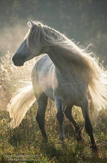 https://upforme.ru/uploads/001a/af/e5/130/t229572.jpg