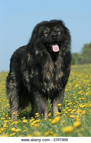 https://upforme.ru/uploads/001a/af/e5/130/t28461.jpg