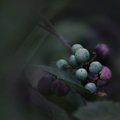 https://upforme.ru/uploads/001a/af/e5/153/639006.png