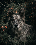 https://upforme.ru/uploads/001a/af/e5/157/252069.png