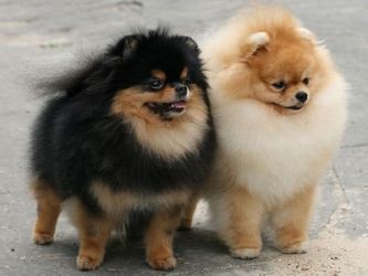 https://upforme.ru/uploads/001a/af/e5/172/t370517.jpg