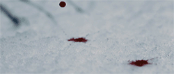 https://upforme.ru/uploads/001a/af/e5/27/401813.gif