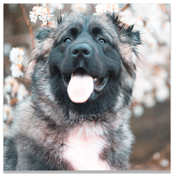 https://upforme.ru/uploads/001a/af/e5/27/553318.png
