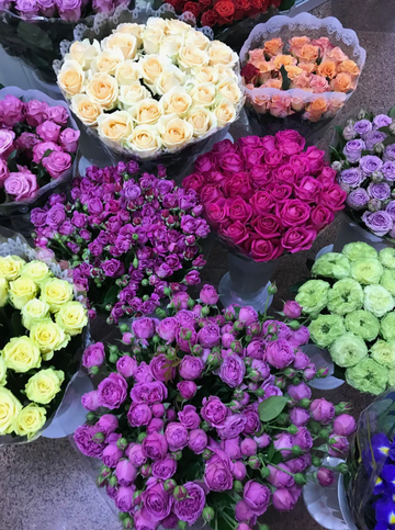https://upforme.ru/uploads/001a/b1/70/111/t756644.png