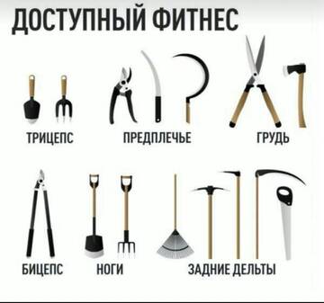 https://upforme.ru/uploads/001a/b1/70/111/t876070.jpg