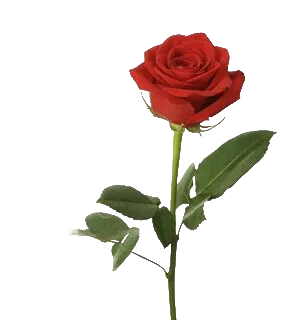https://upforme.ru/uploads/001a/b1/70/151/t483320.png