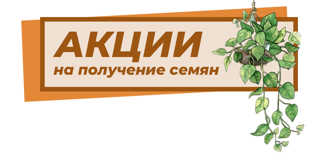 https://upforme.ru/uploads/001a/b1/70/2/421150.png