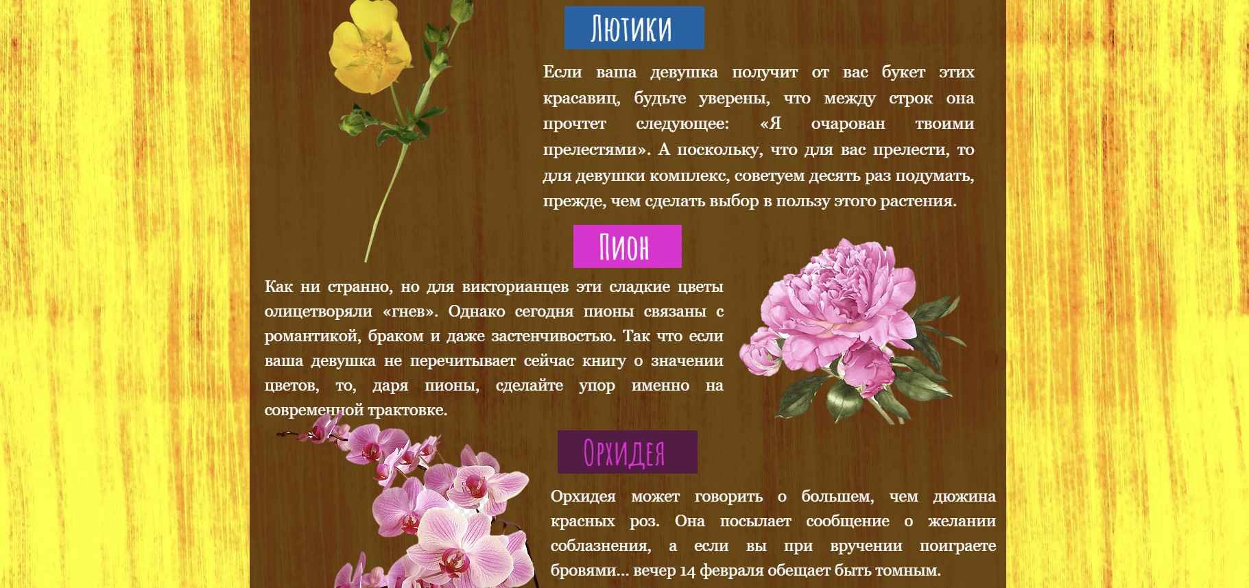 https://upforme.ru/uploads/001a/b1/70/2/542467.jpg