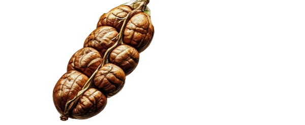 https://upforme.ru/uploads/001a/b1/70/73/t141598.png