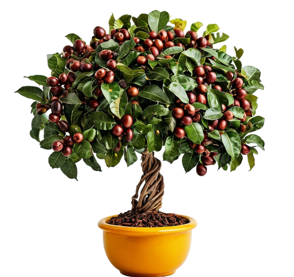 https://upforme.ru/uploads/001a/b1/70/73/t879916.png