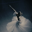 https://upforme.ru/uploads/001a/b7/0a/5/103794.png