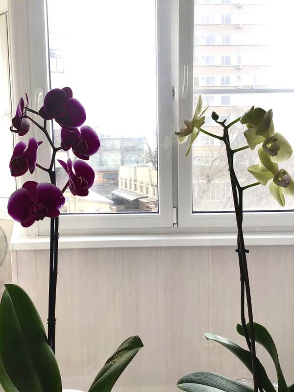 https://upforme.ru/uploads/001a/b7/49/104/t309297.jpg