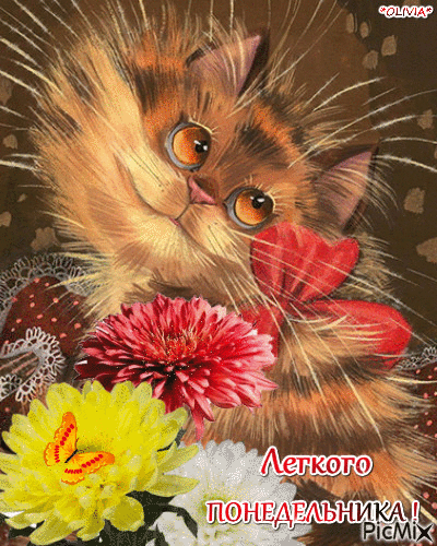https://upforme.ru/uploads/001a/b7/49/110/915087.gif