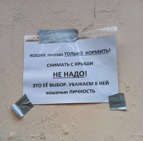 https://upforme.ru/uploads/001a/b7/49/110/t300926.jpg