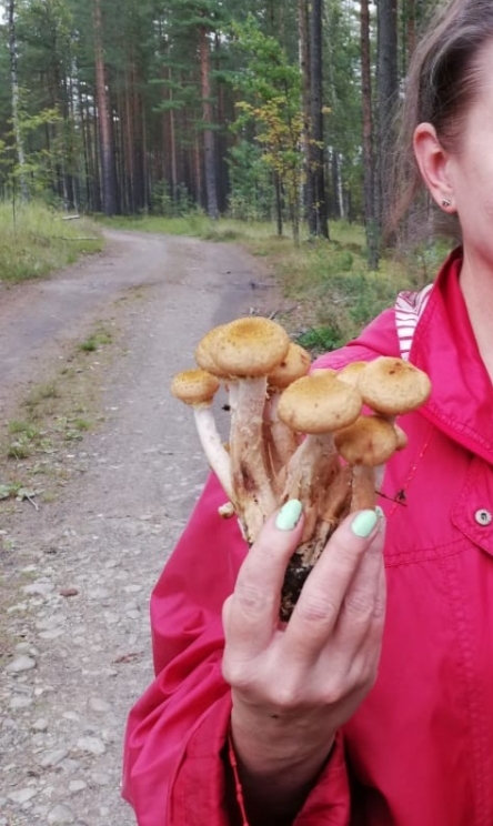 https://upforme.ru/uploads/001a/b7/49/110/t962259.jpg