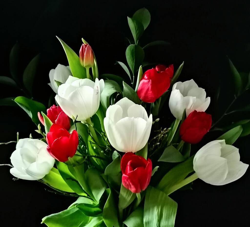 https://upforme.ru/uploads/001a/b7/49/118/208226.jpg