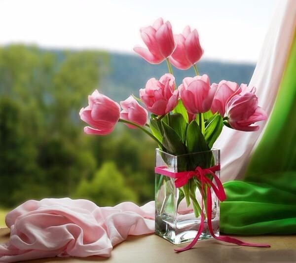 https://upforme.ru/uploads/001a/b7/49/118/282564.jpg
