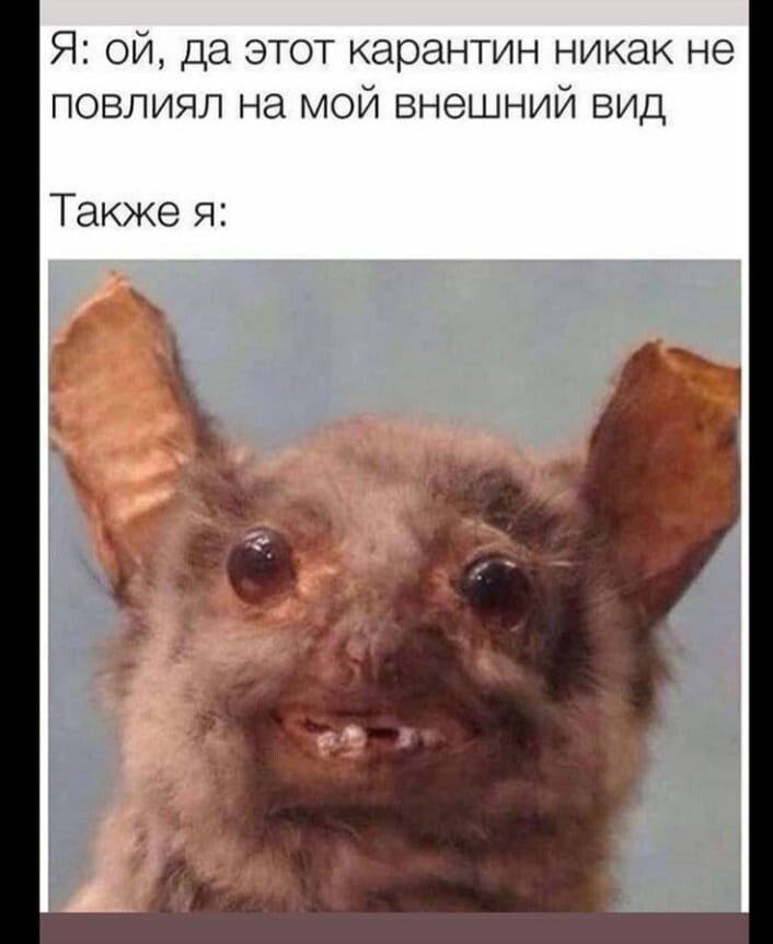 https://upforme.ru/uploads/001a/b7/49/118/567377.jpg